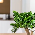 Apartment Guestready - Typical Experience In Funchal (Madeira)