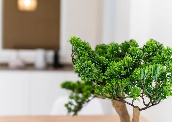 Διαμέρισμα Guestready - Typical Experience In Φουνκάλ